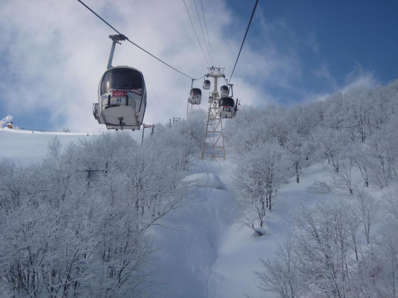 Sakka Sanso Villa Hakuba Exterior foto
