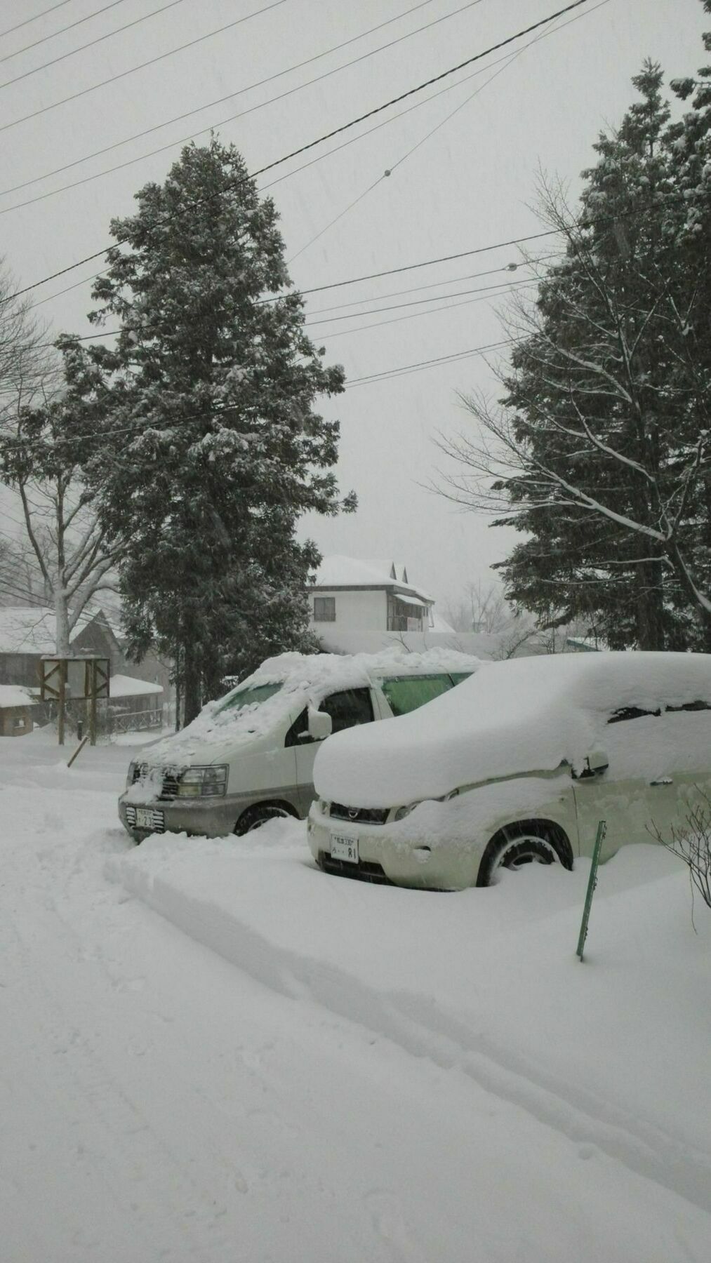 Sakka Sanso Villa Hakuba Exterior foto